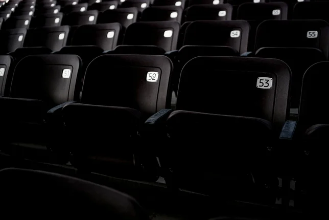 Dark rows of numbered cinema seats